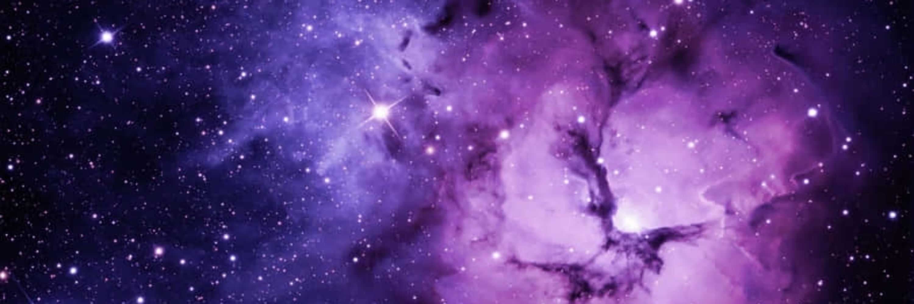Purple Rainger