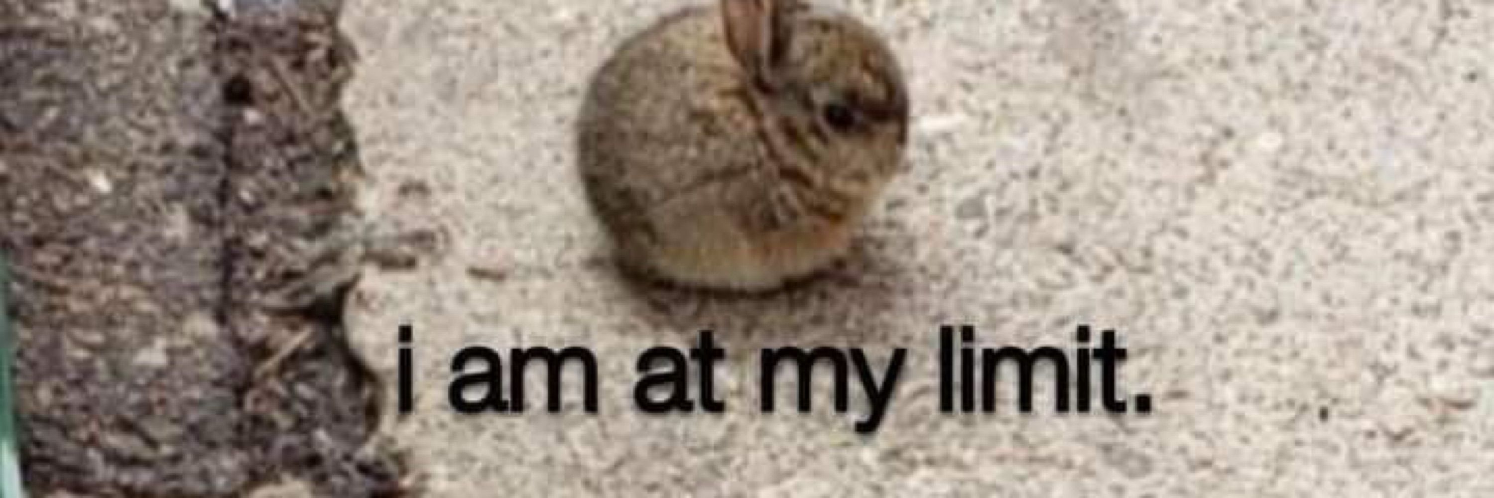 mL