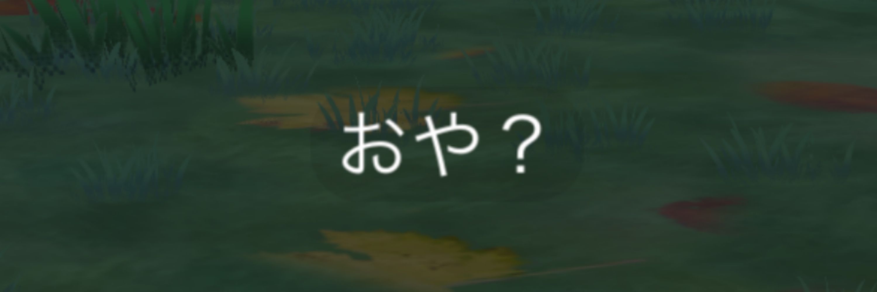 タタミイワシ