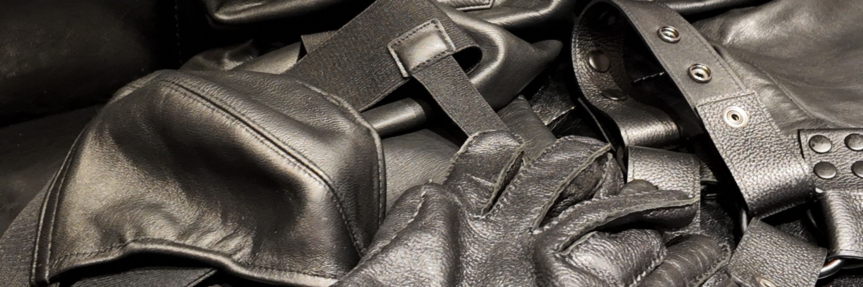 Max in Leather