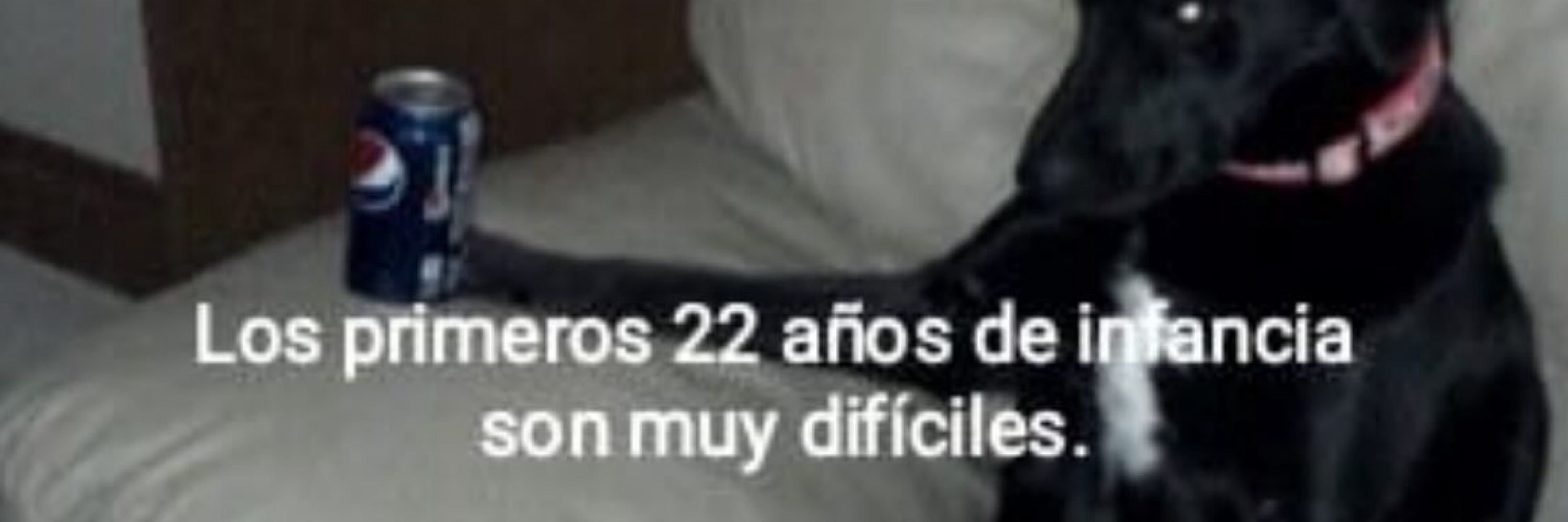 niki