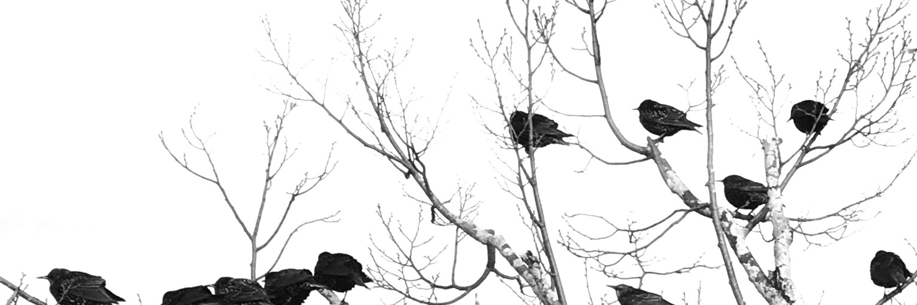 Catherine Kim