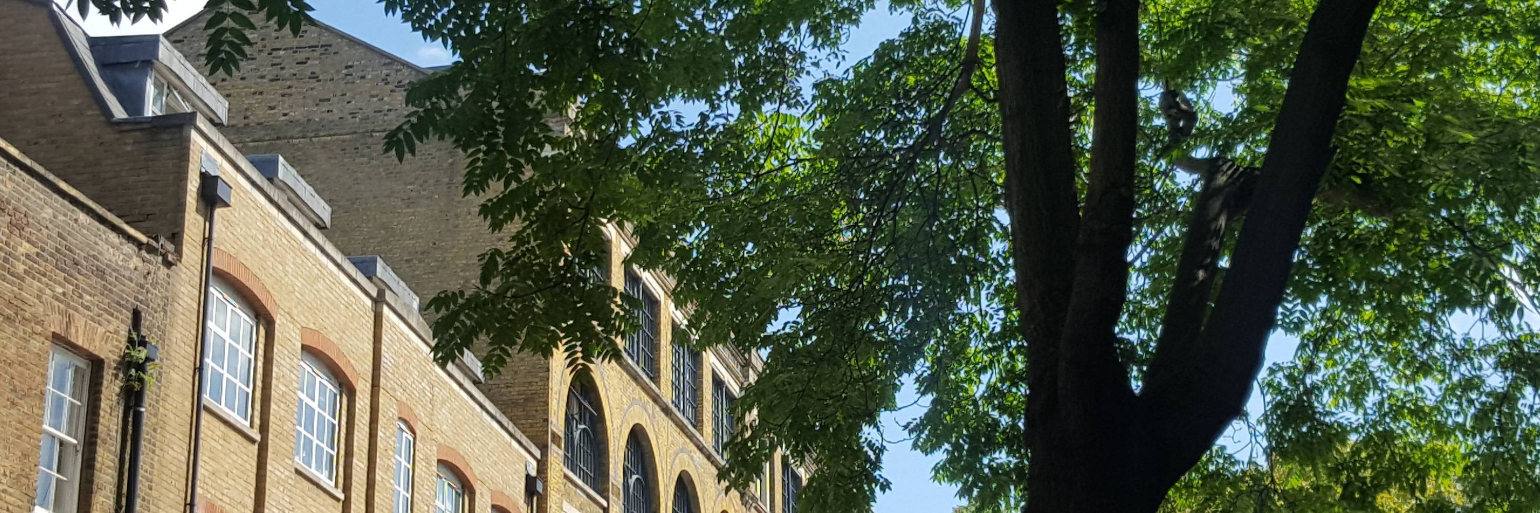 Trees for Bermondsey