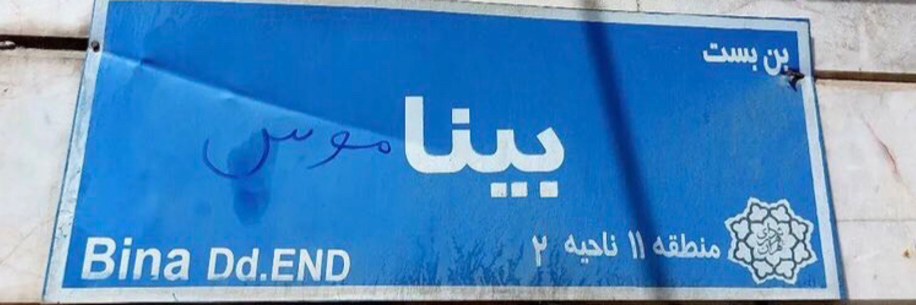 دالوت 