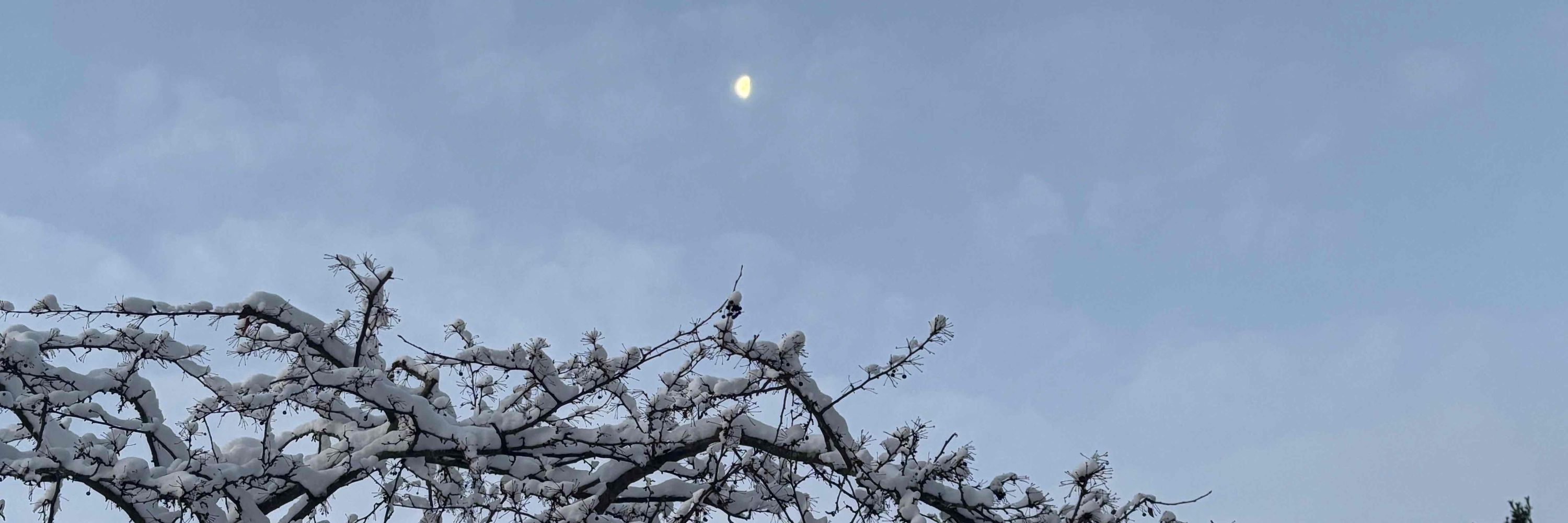 ☁︎ 𝔏𝔞𝔱𝔱𝔢 ☁︎