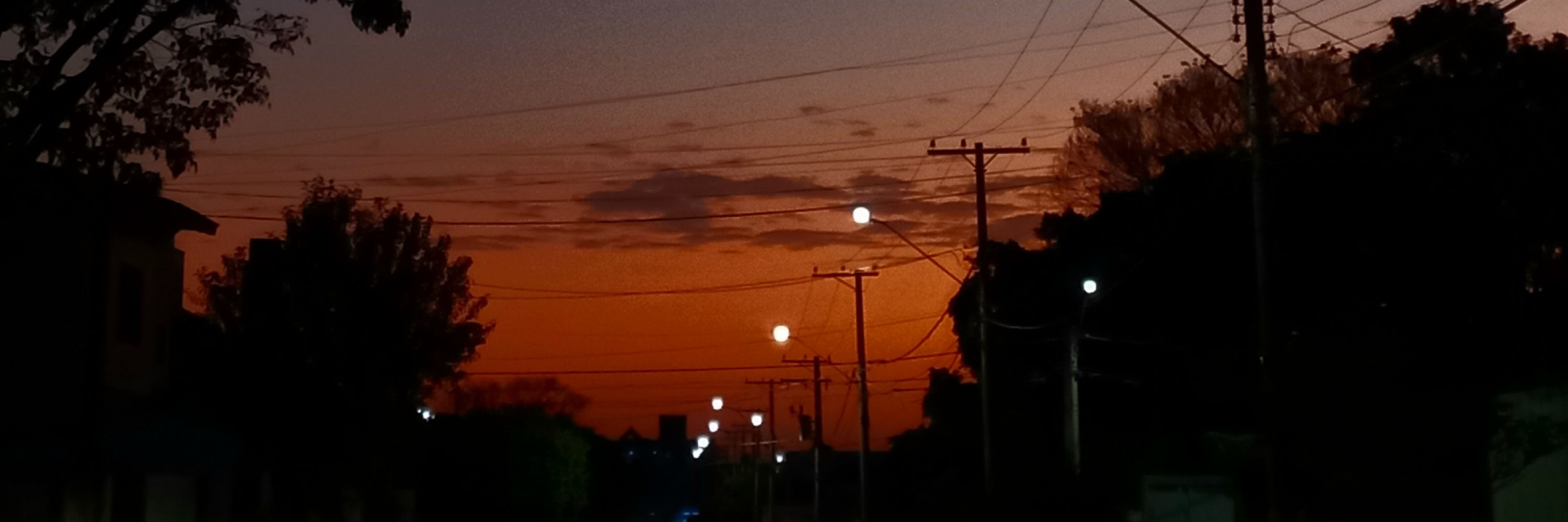 grazii