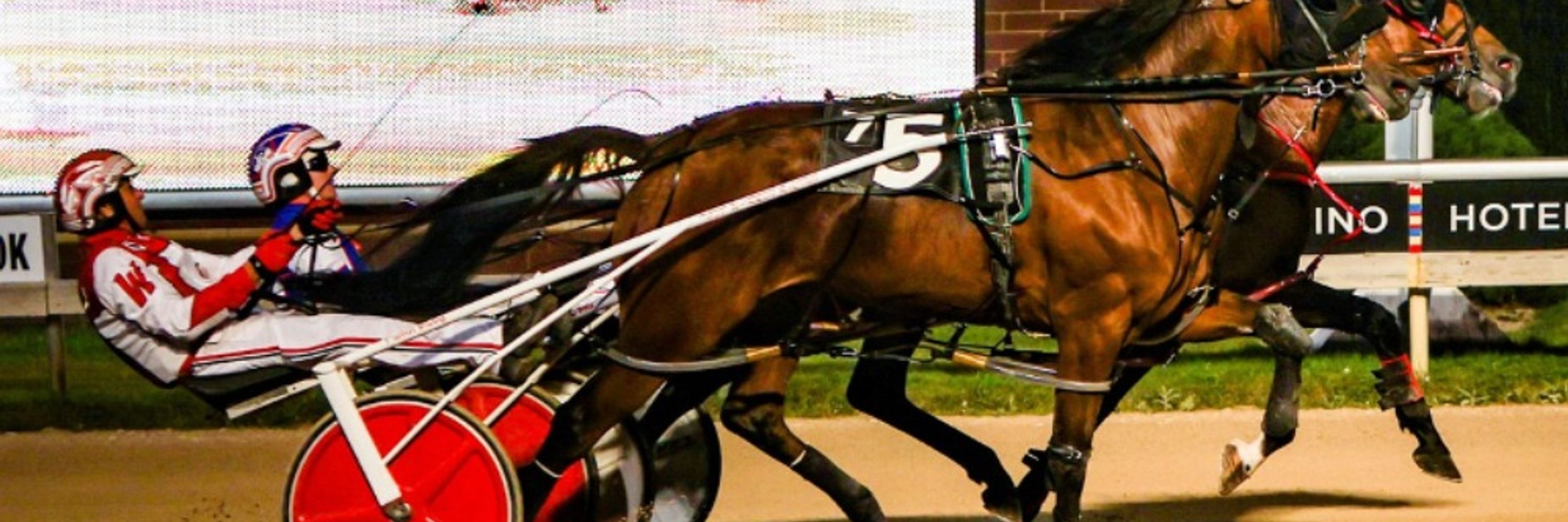 Harness Racing Minnesota