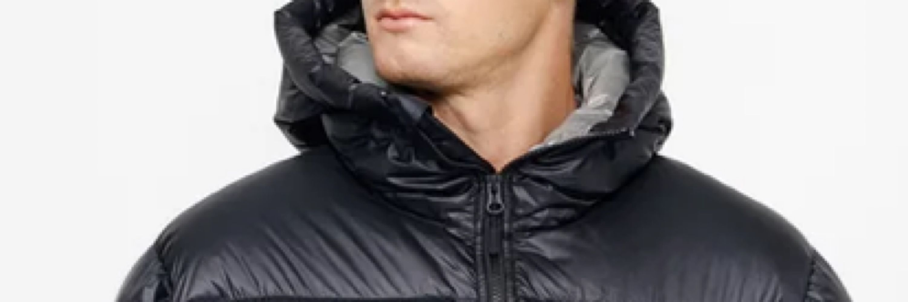 존존슨