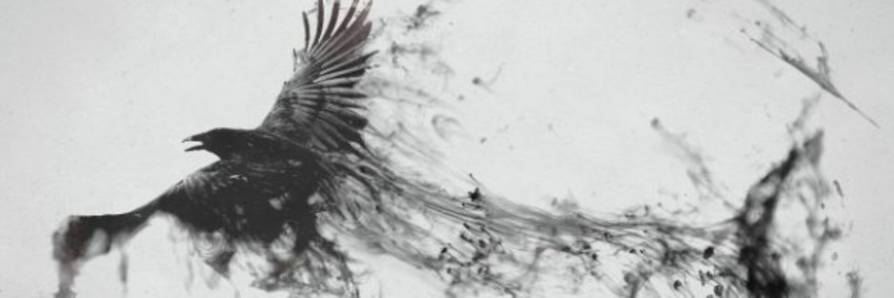 TheITCrowdWitch