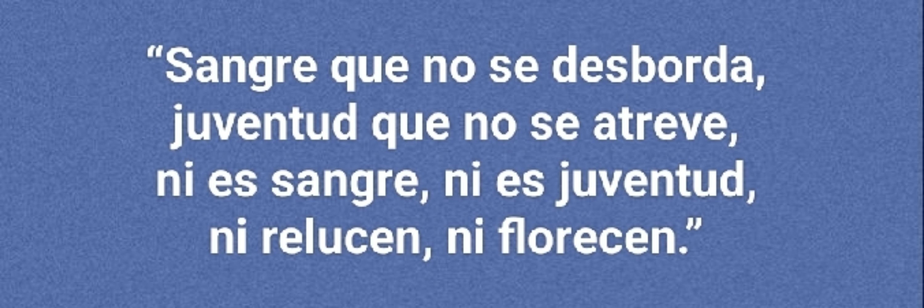 Sergio12hdlt