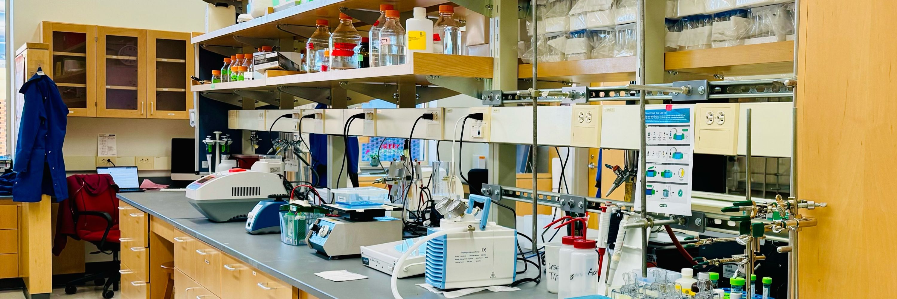 Wen Zhu Lab