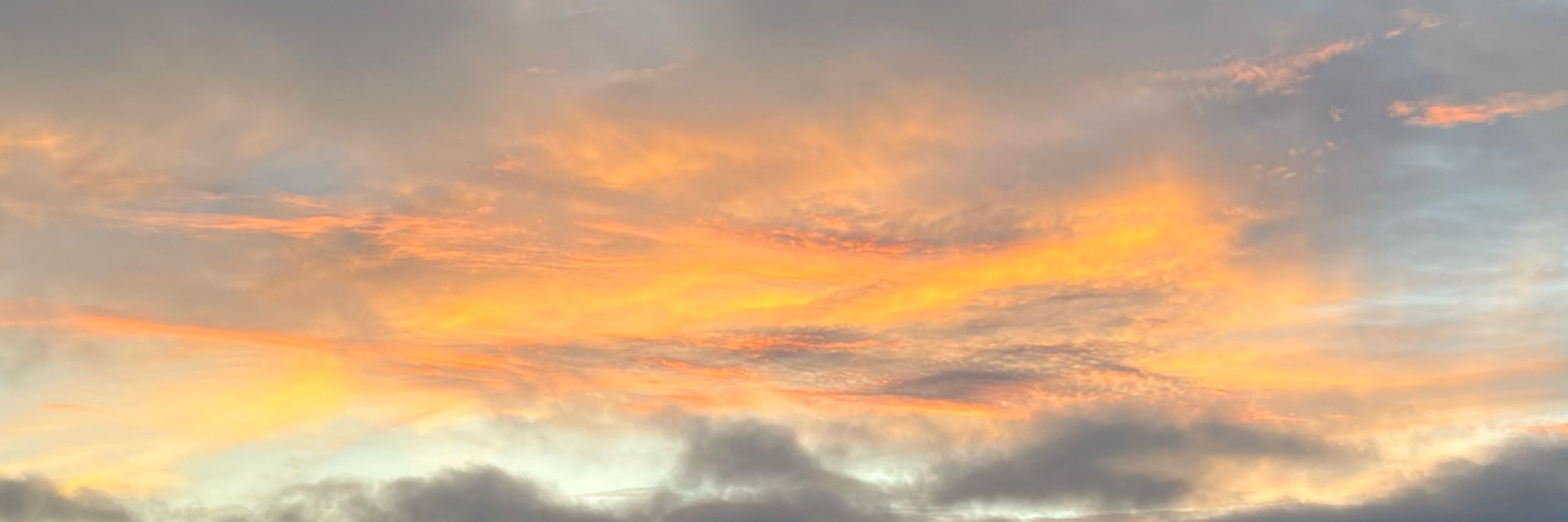 🌪️