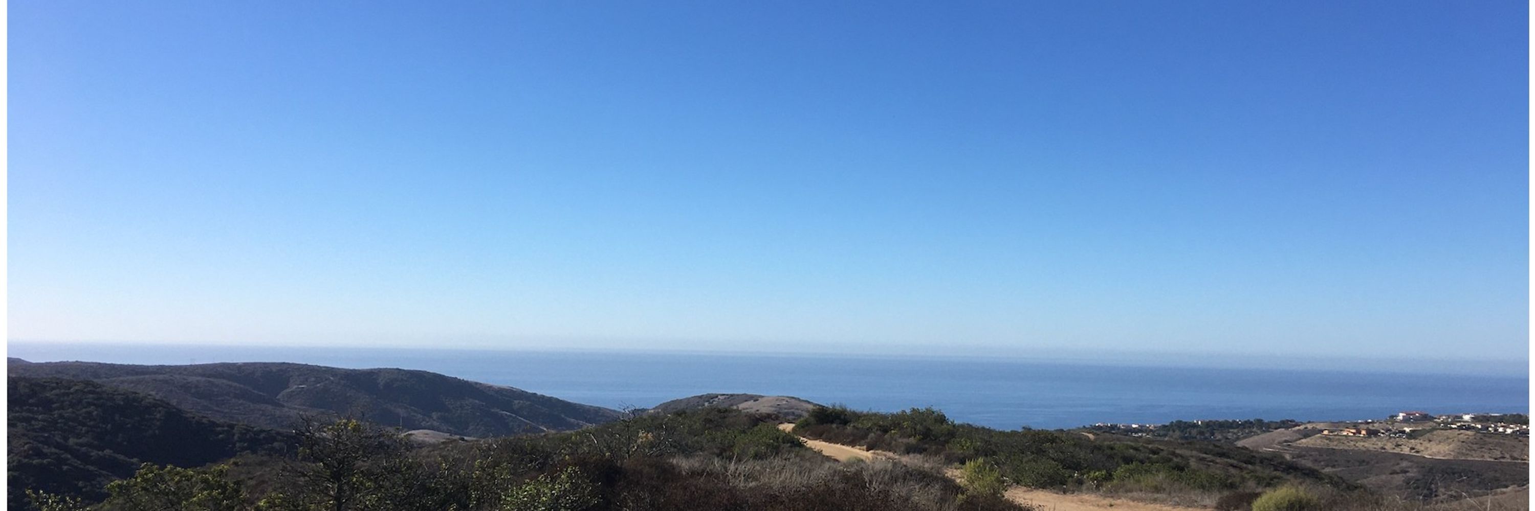 Oak Leaf Views