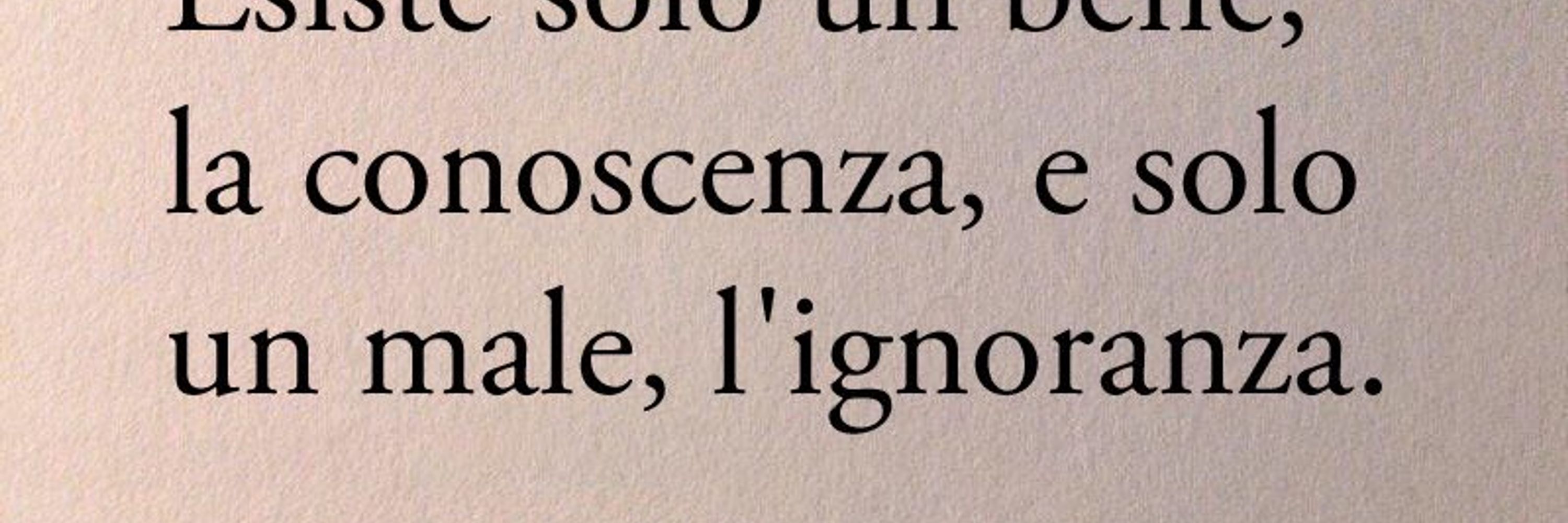 miclor🏳️‍🌈🌈#facciamorete
