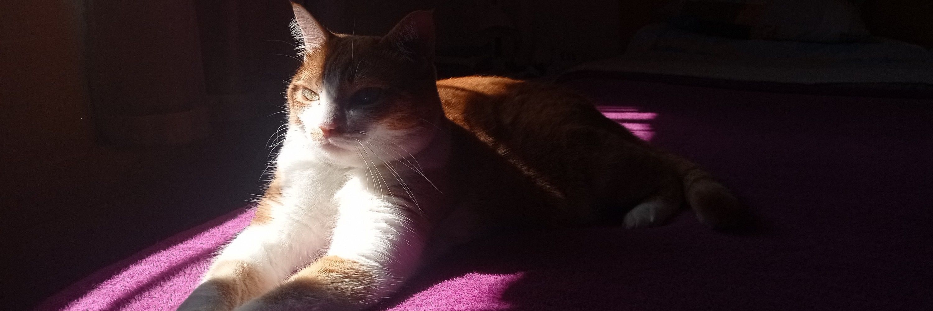 Sam
