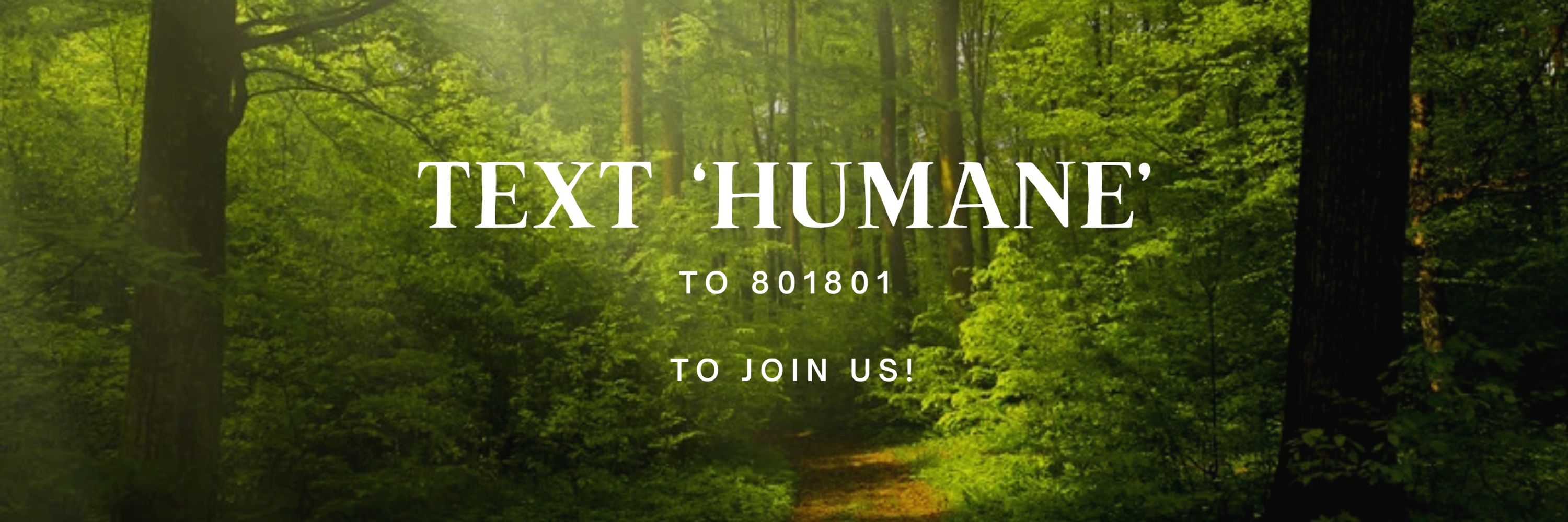 The Humane Beings