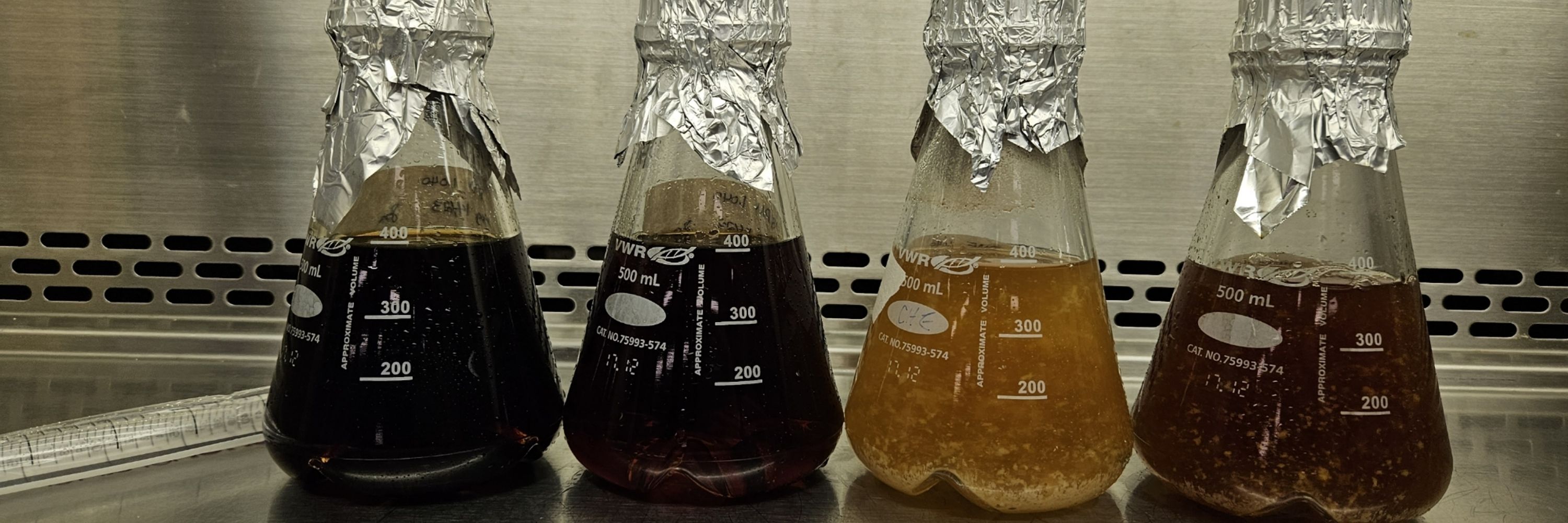 Brew for Science 