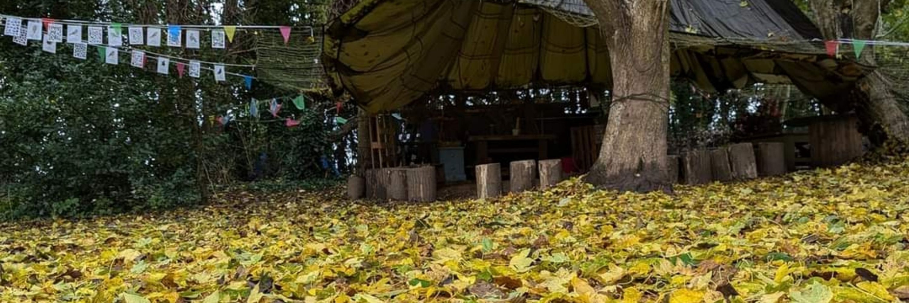 Chartham Forest School