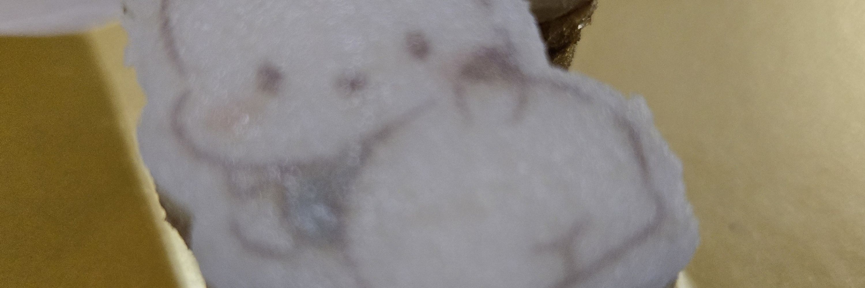 くぅにこ