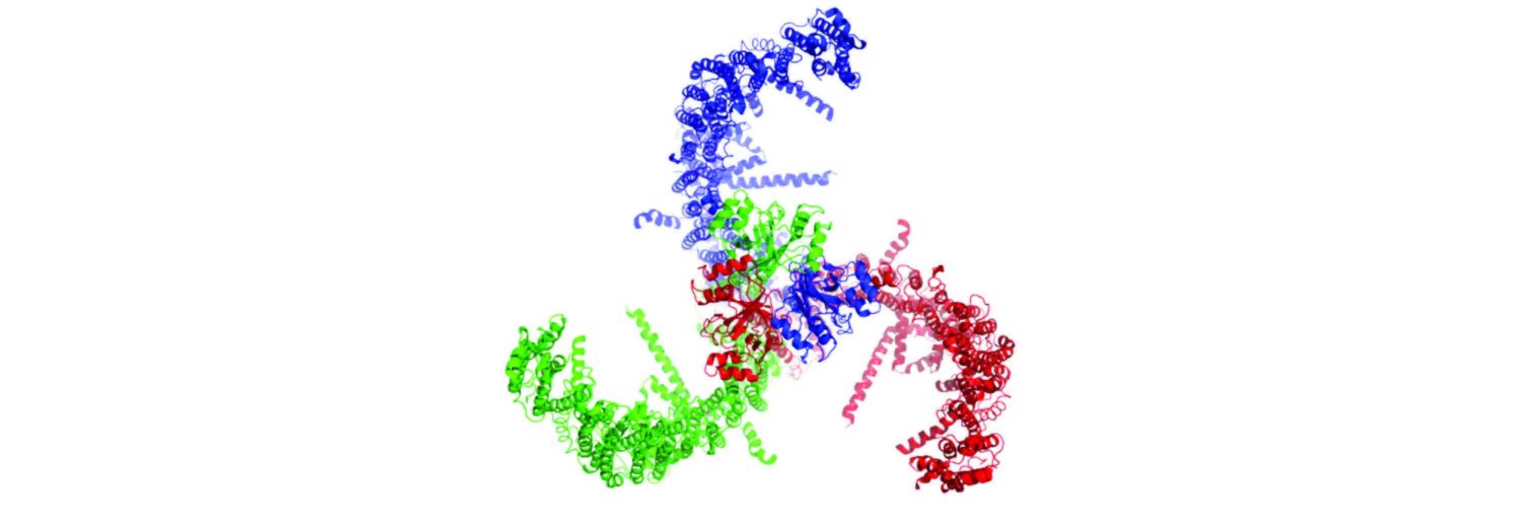 Manx Neurobiologist