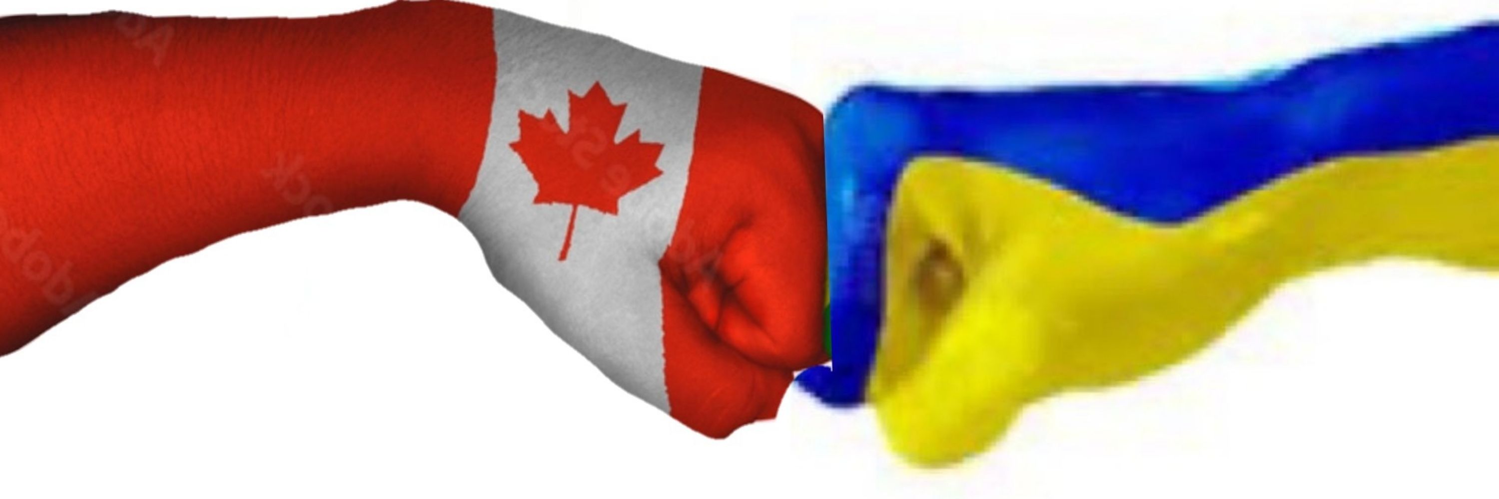 AndrewB2020💪🇨🇦💙💛🇺🇦