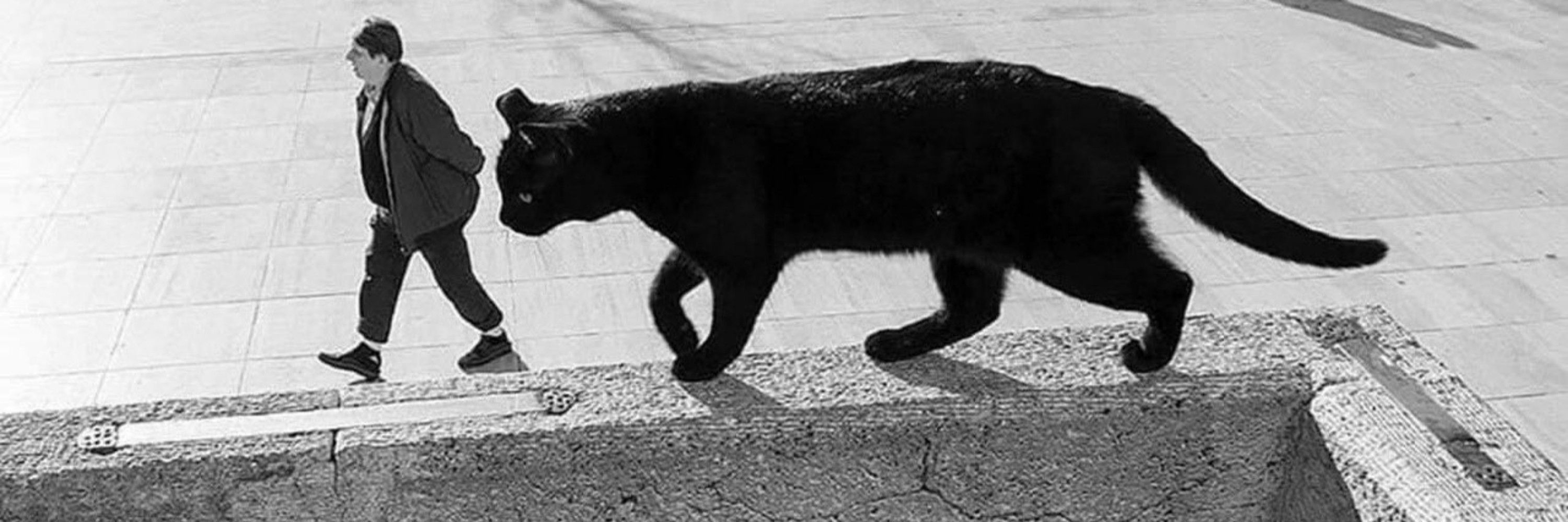 SolePaW 