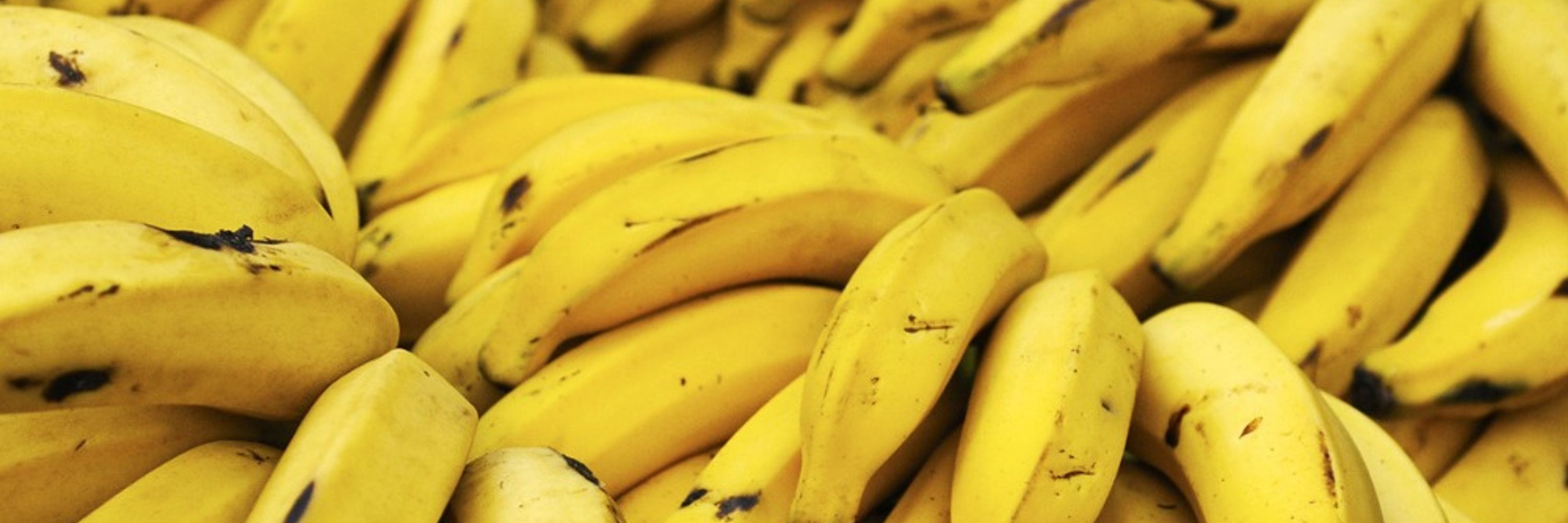 Da Banana Punk is Here!! 