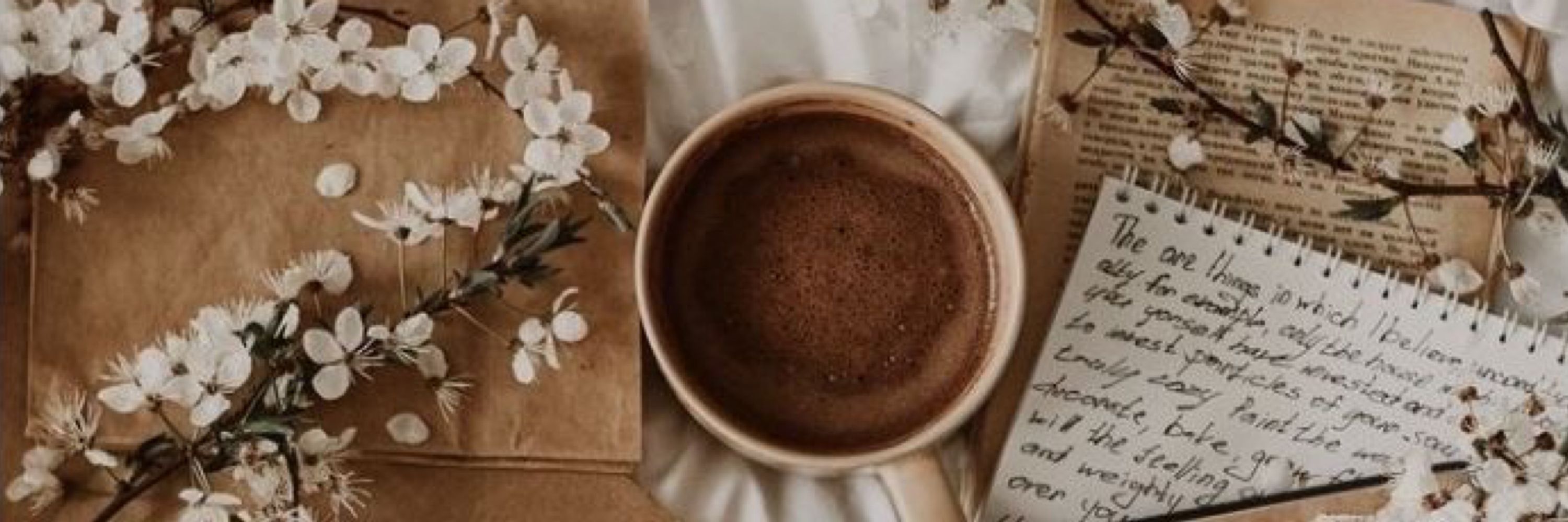 ✧｡.*𝓂𝑜𝑜𝒹𝓎.𝓂𝑜𝑜𝓃𝒻𝓁𝑜𝓌𝑒𝓇*｡.✧