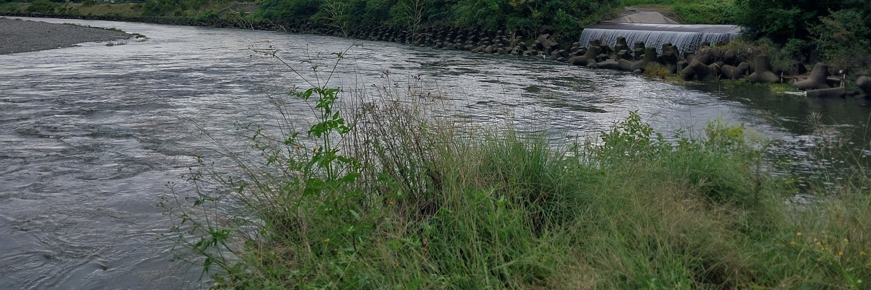 れおん