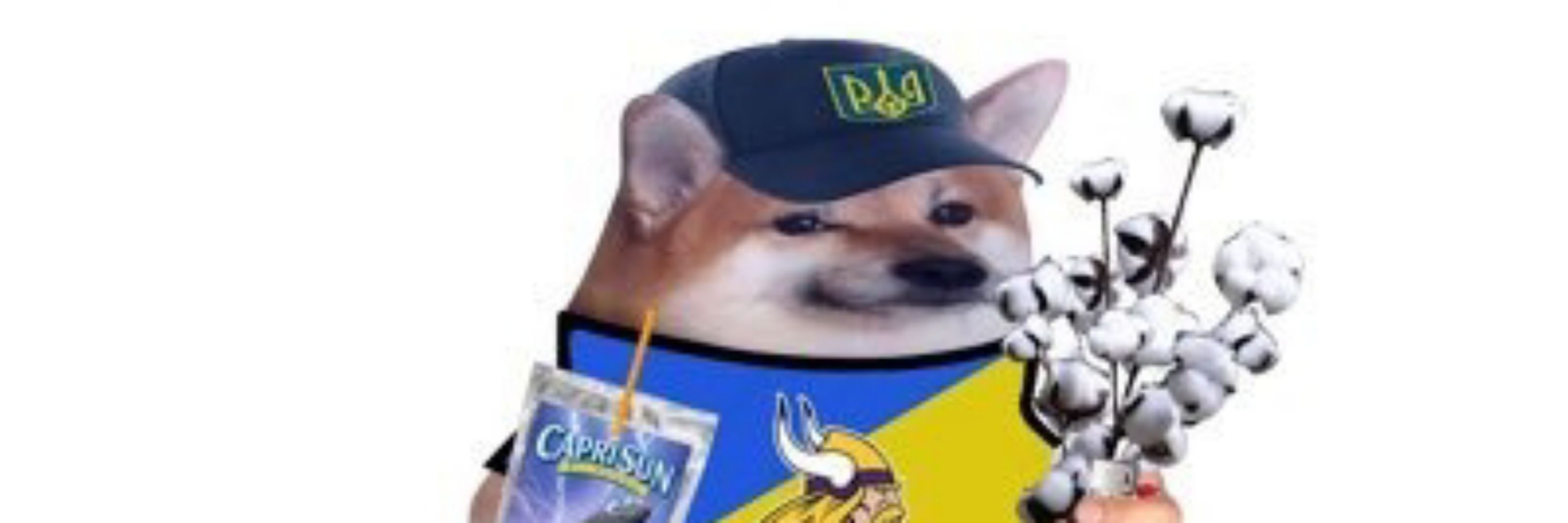 Moike