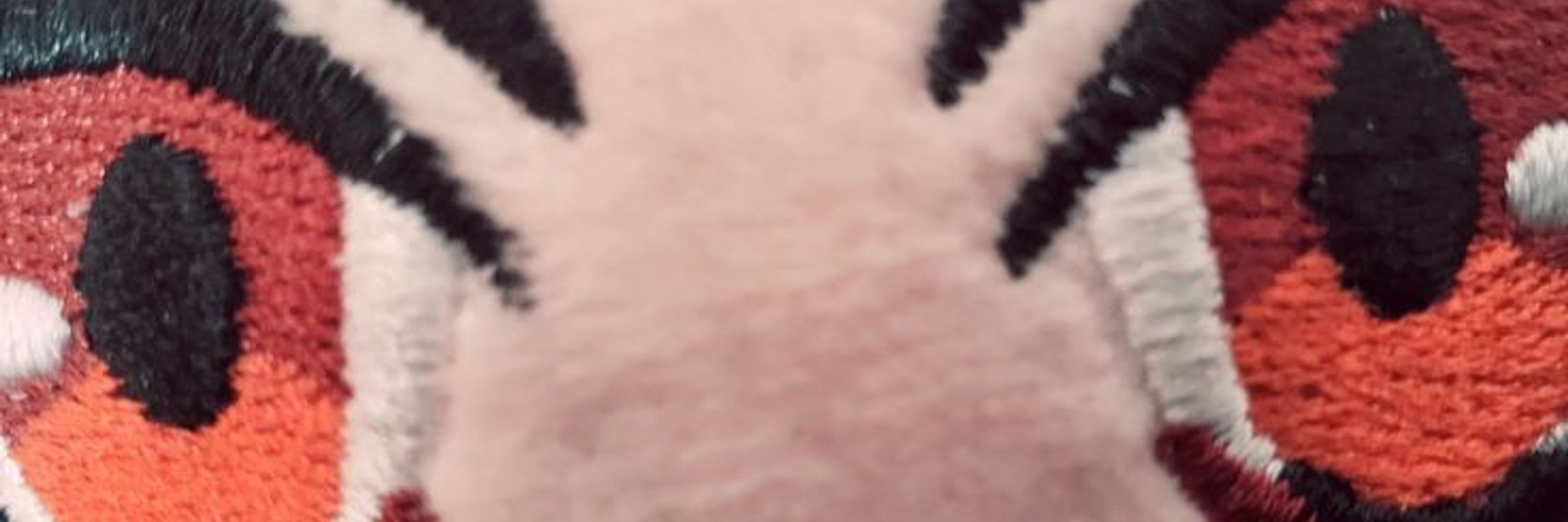 Ittoes