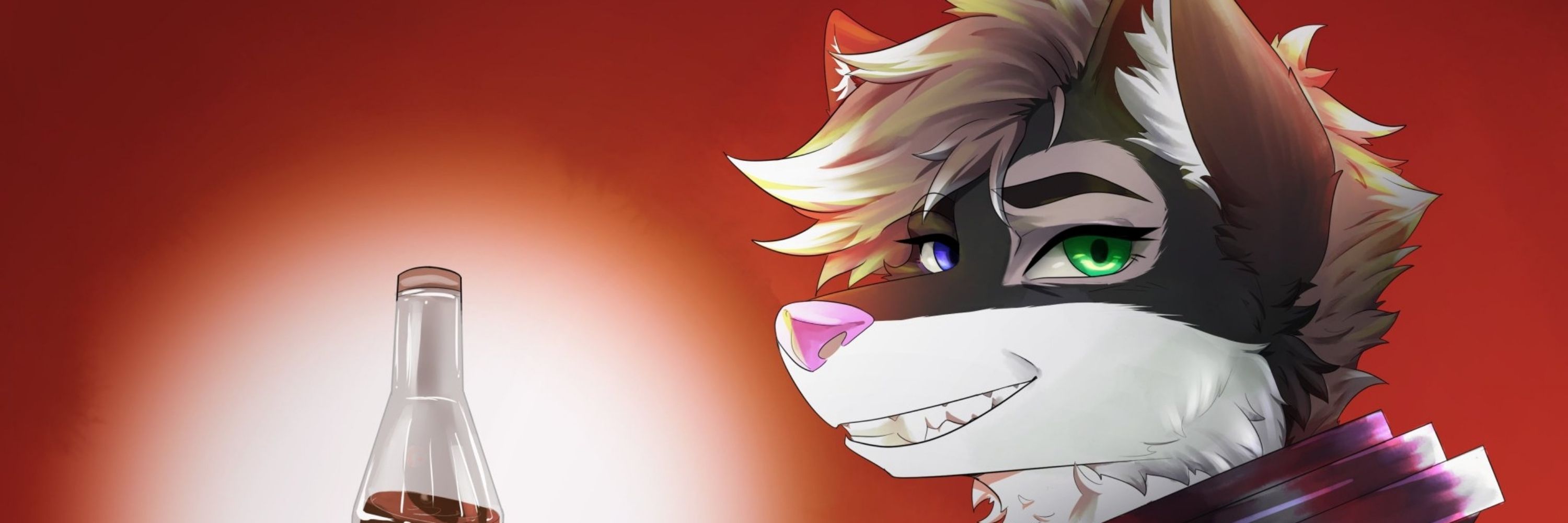 Coal da husky