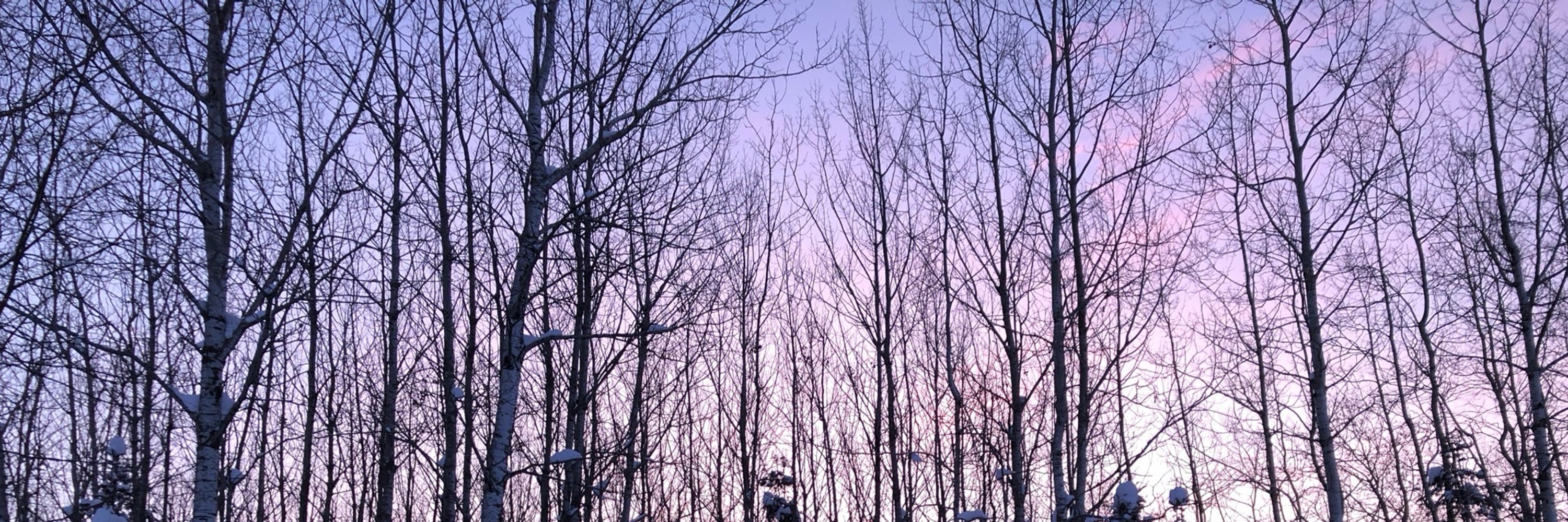 NorthWoods Gal
