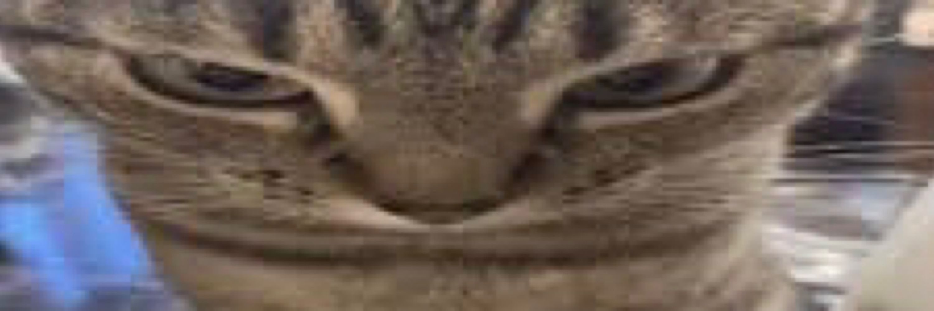 Kailerooni