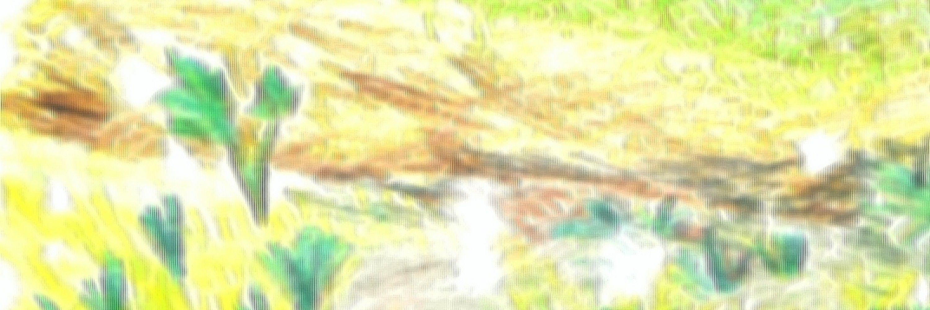 ふるふる