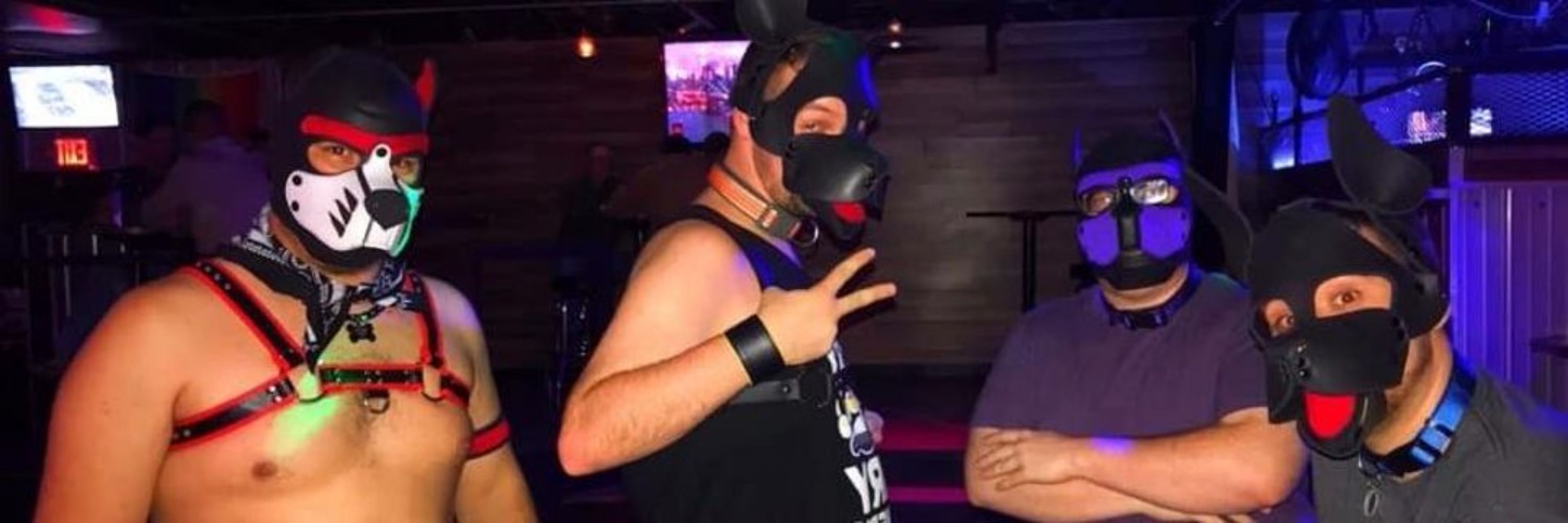 Pup Duke