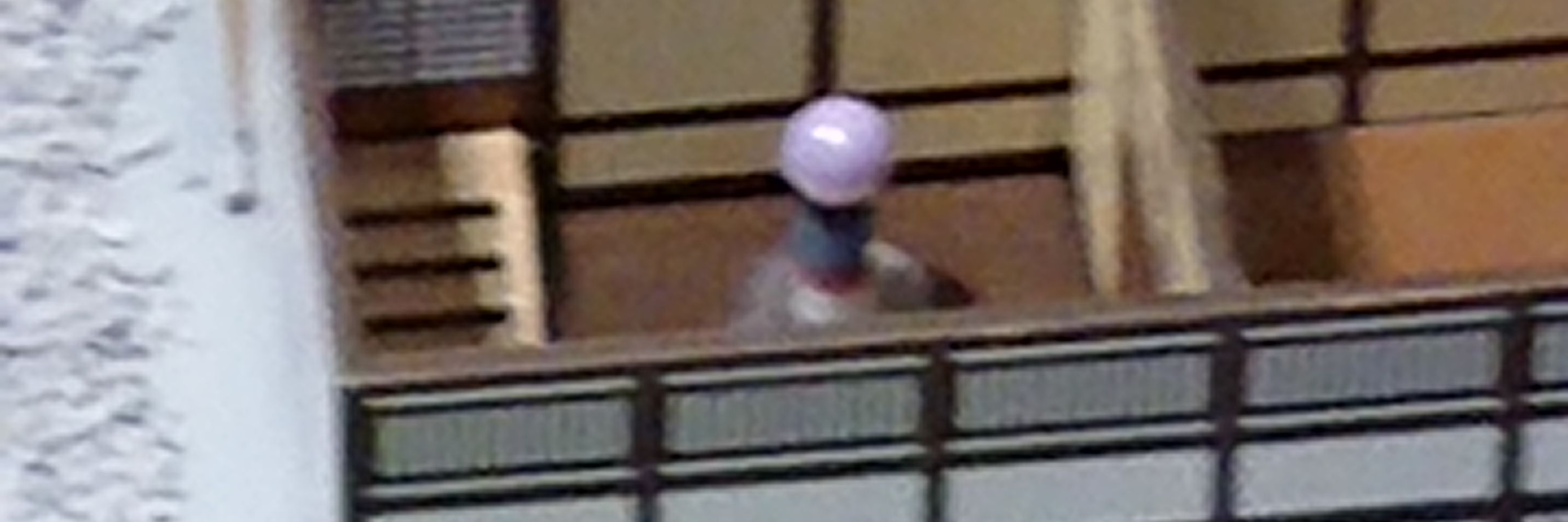 ナデナデしまくるコバ