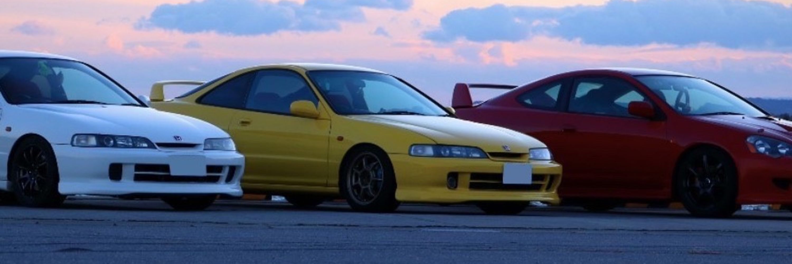 マイタケ