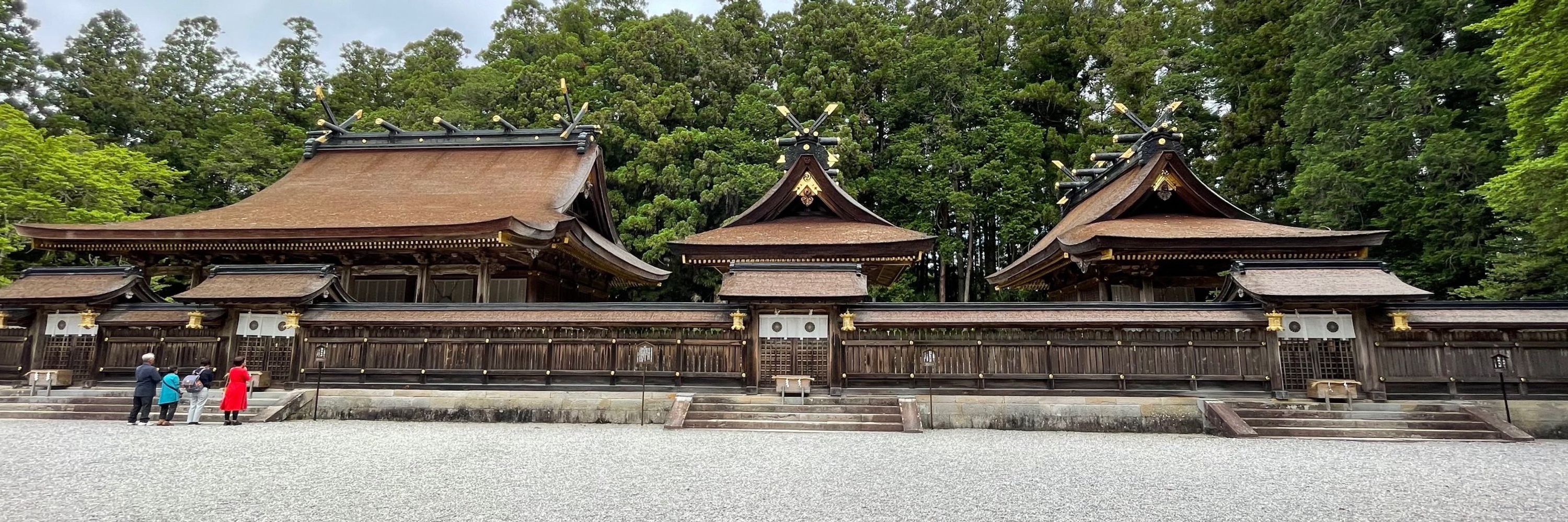 Tatsuhiko ASAMI