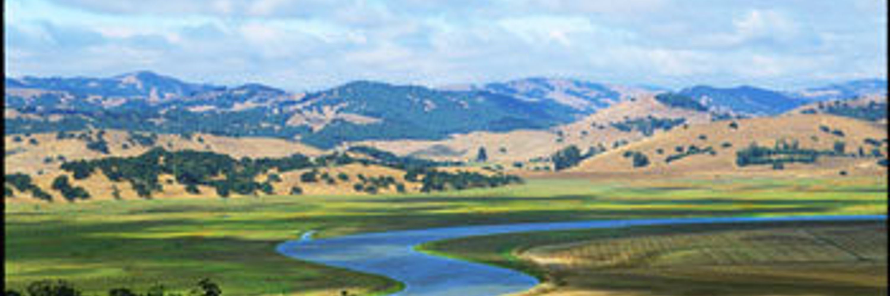 Friends of the Petaluma River