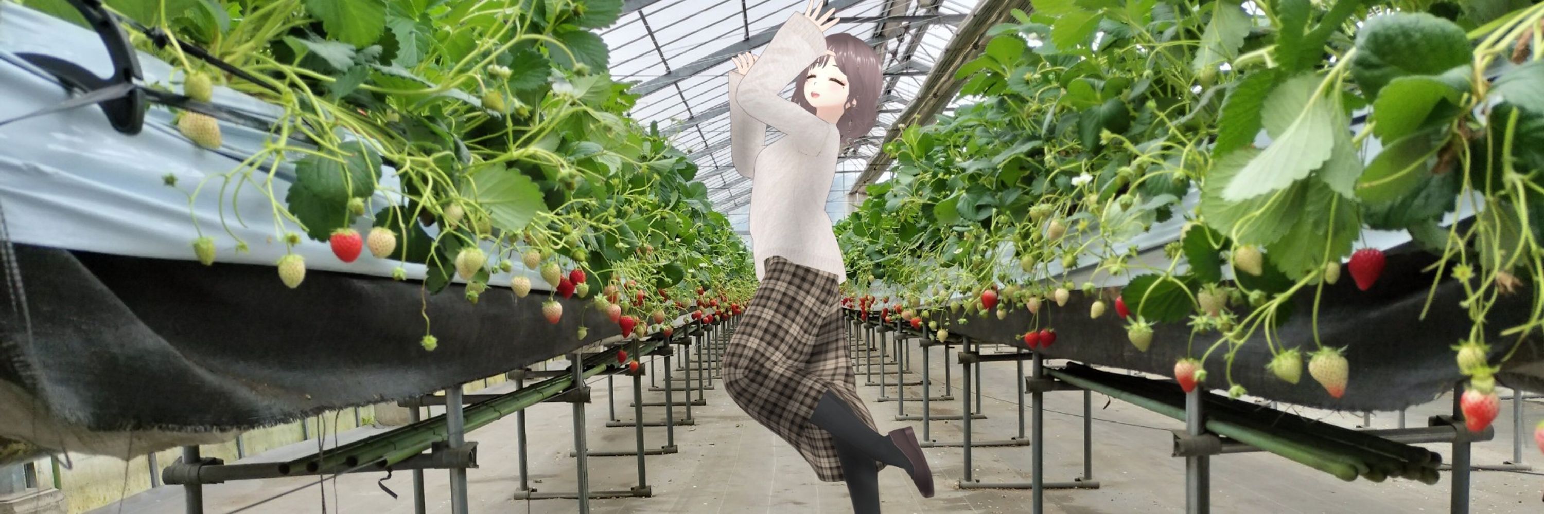 みち