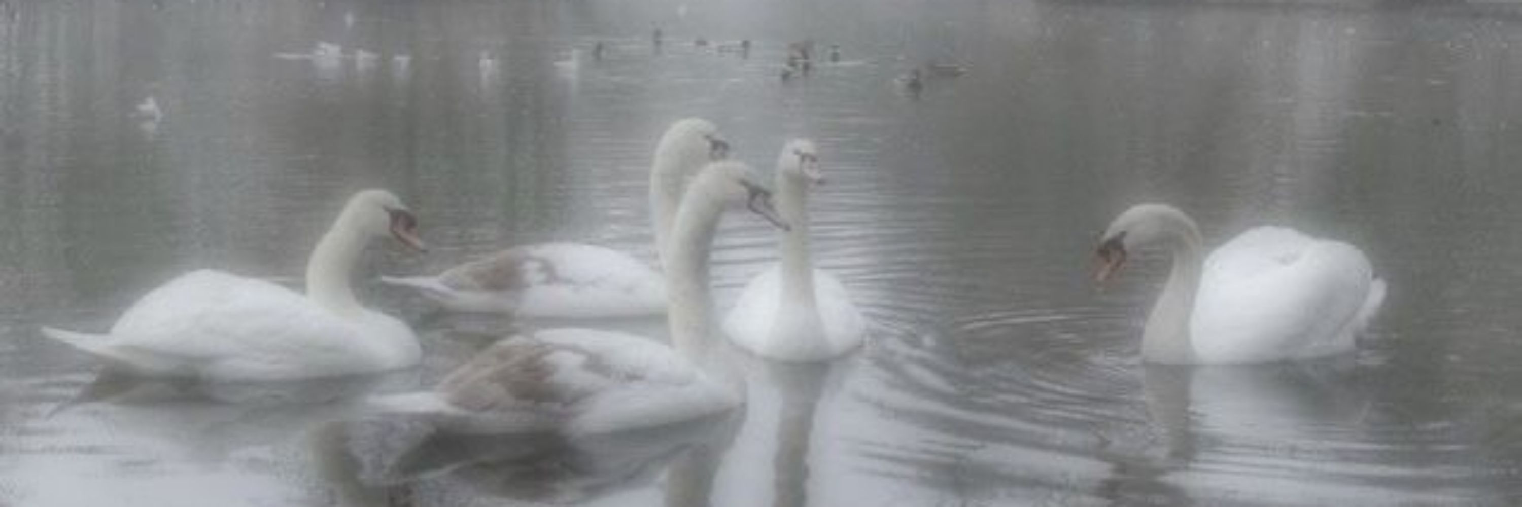 𝓙𝓪𝓻𝓮𝓭 '☃️