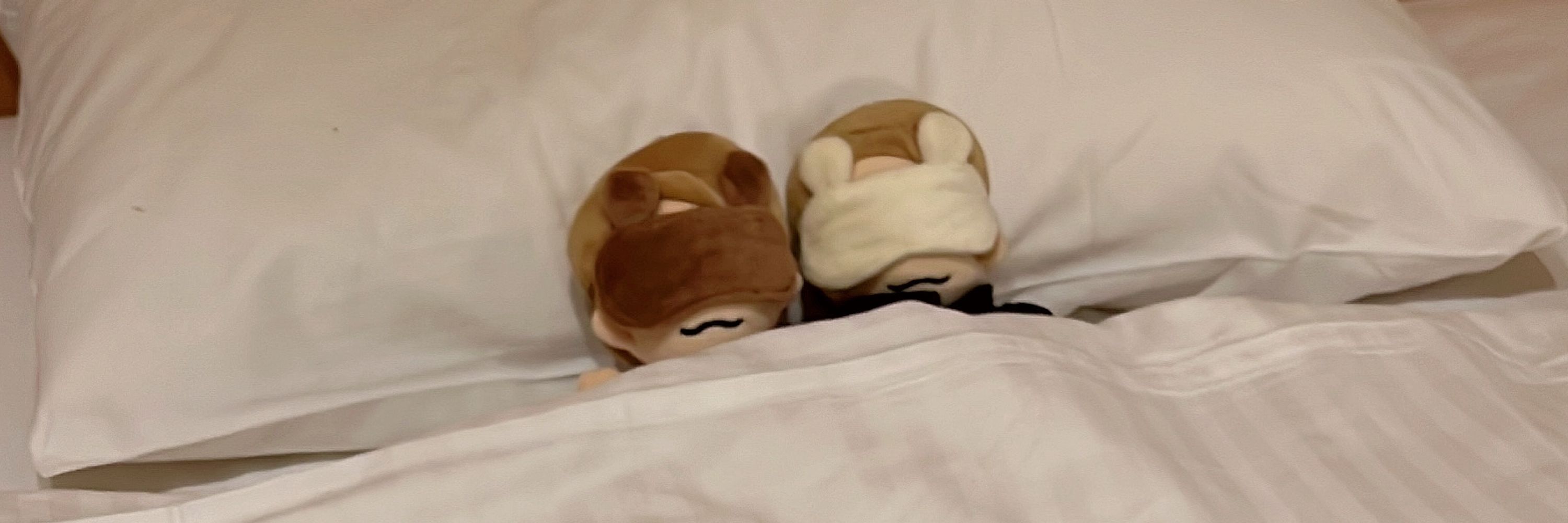 じせきのねん