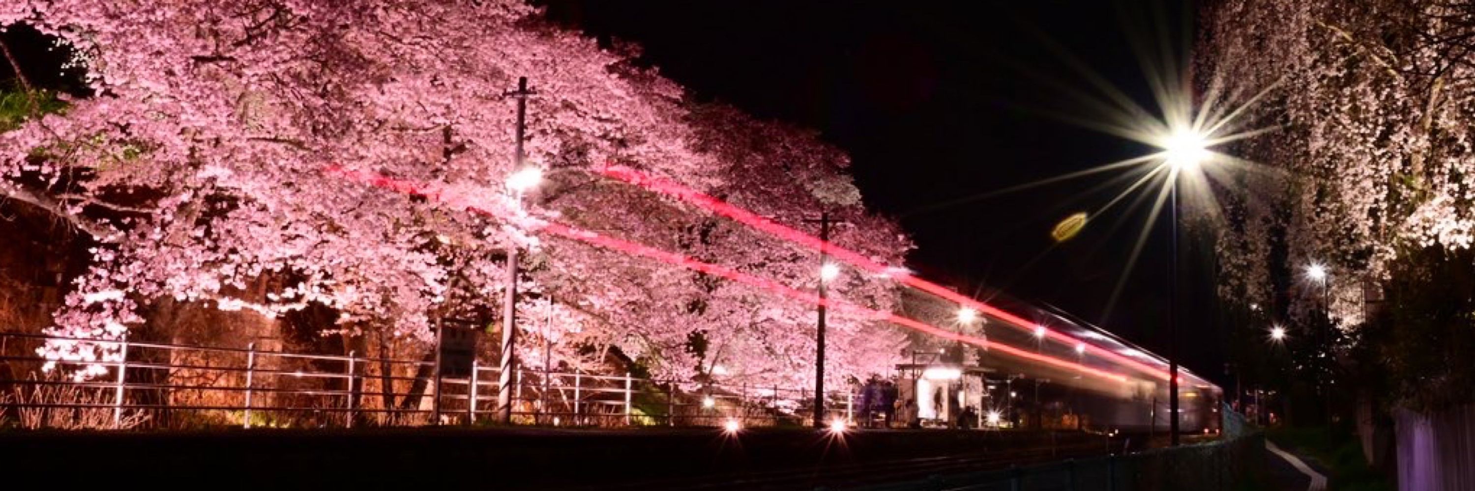 つっちぃ。