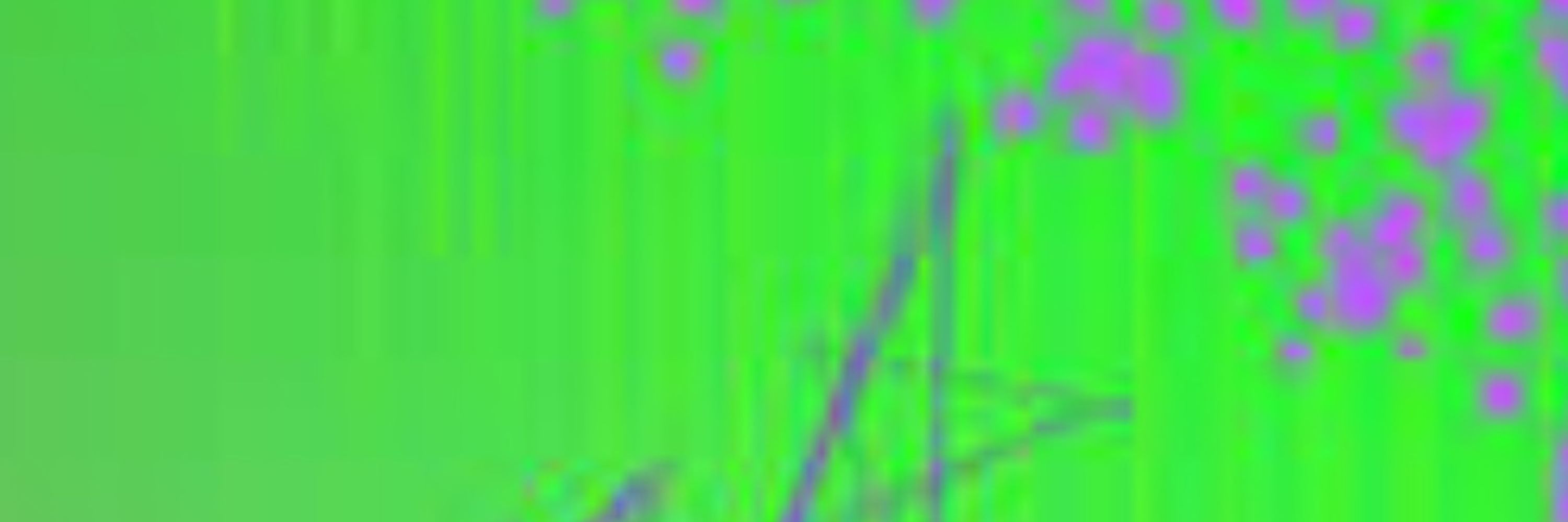 v0mit07X