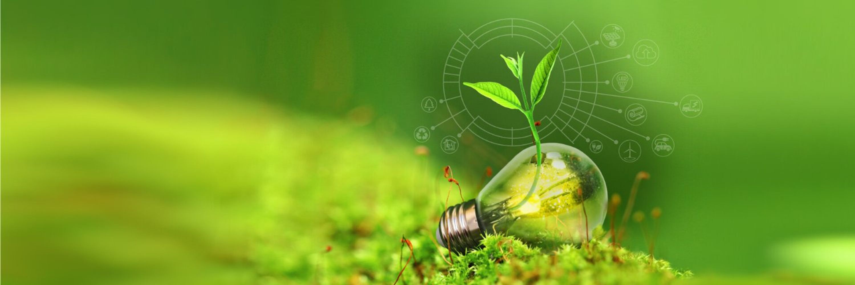 Techies Go Green