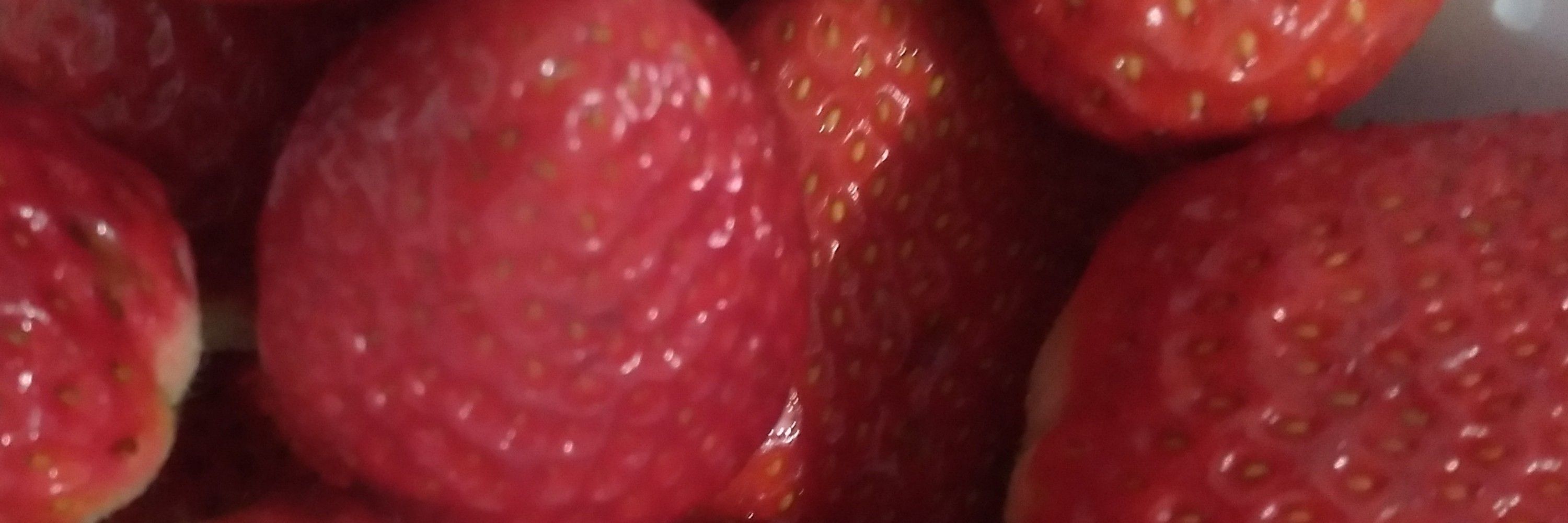 kiyi 