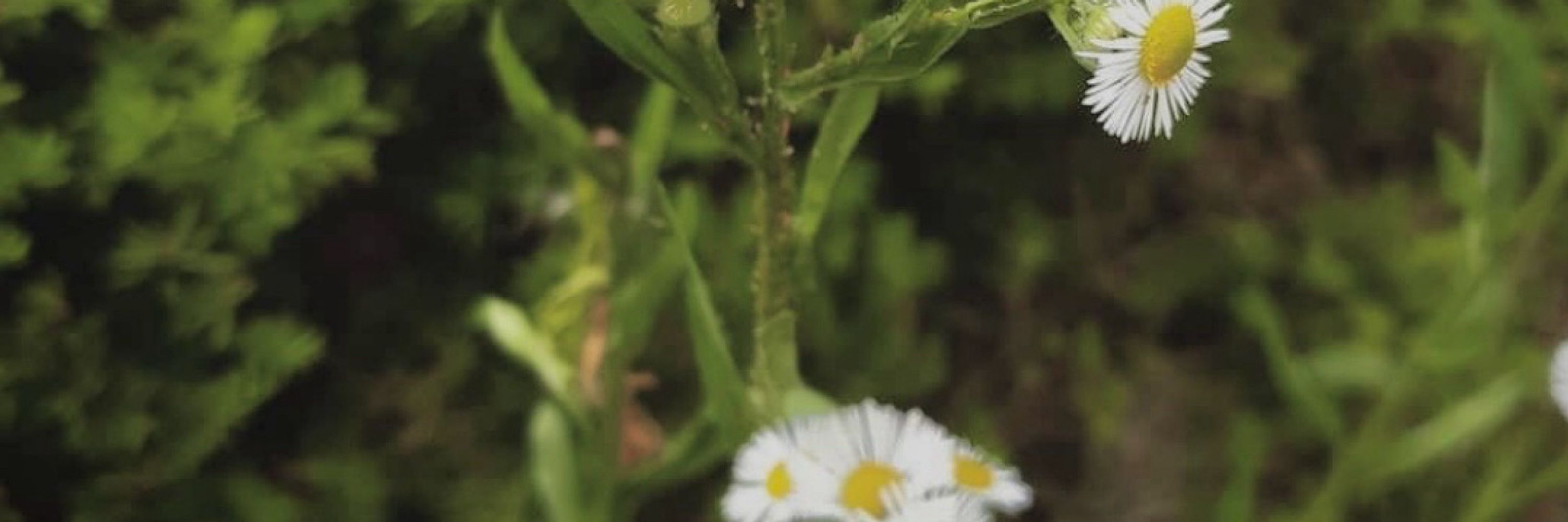 초록🌱