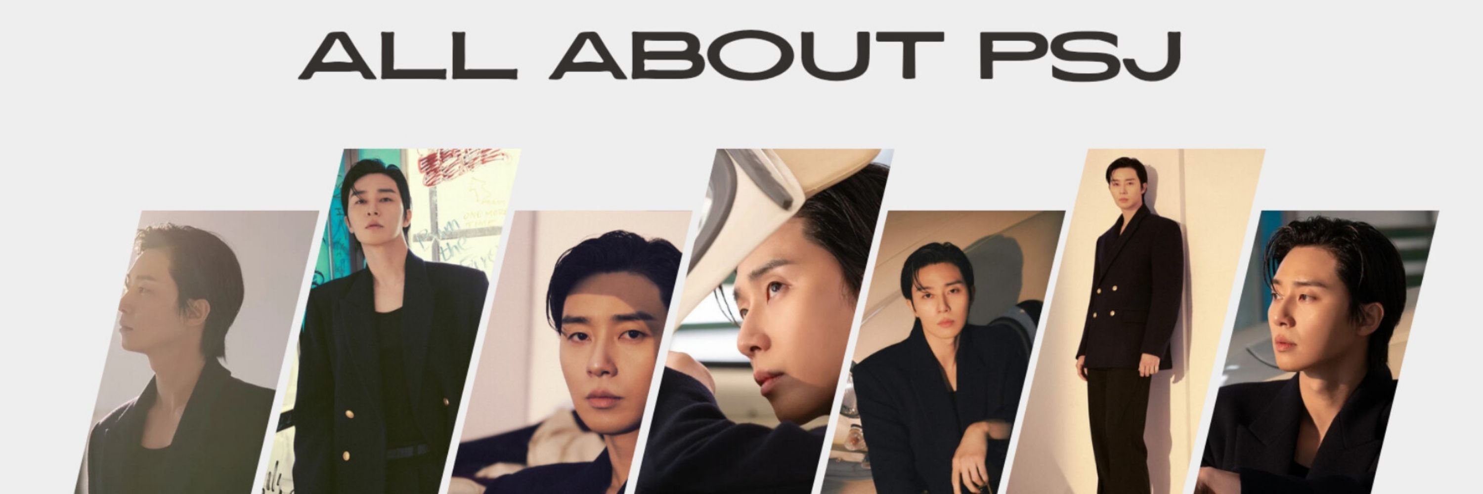 Park Seo Joon Fan Account