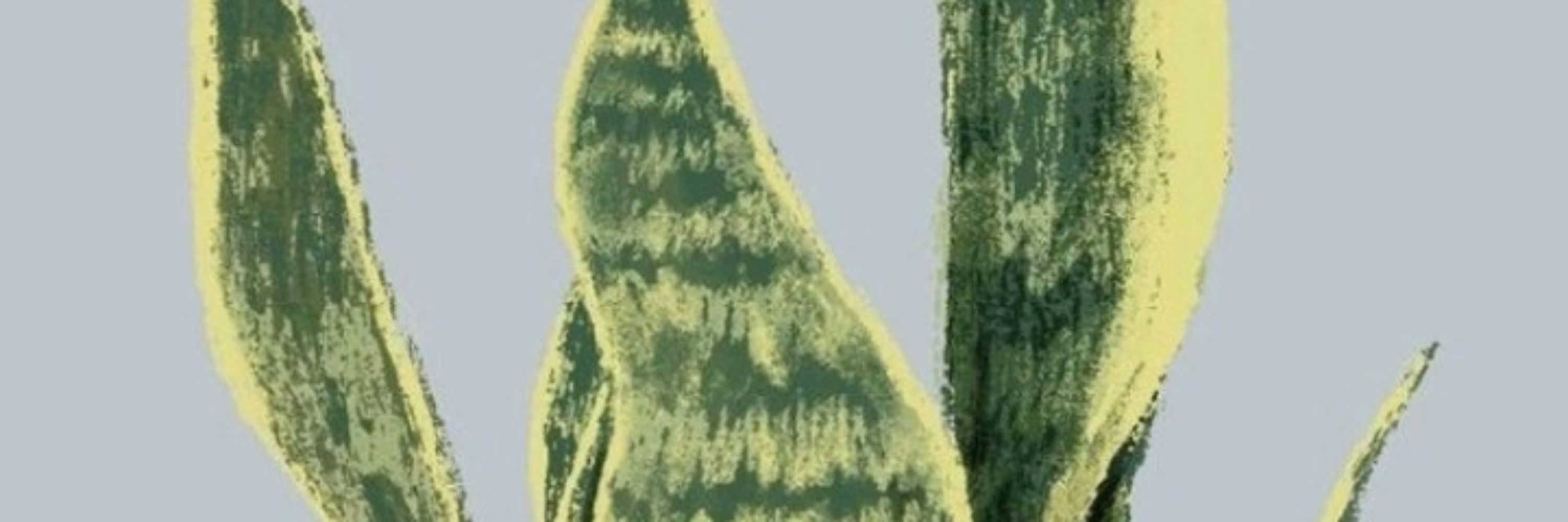 Pietra Kosmos